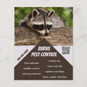Editable Pest Control Flyer