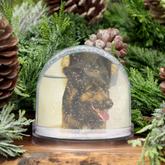 Editable Pet Photo Name and Dates Snowglobe