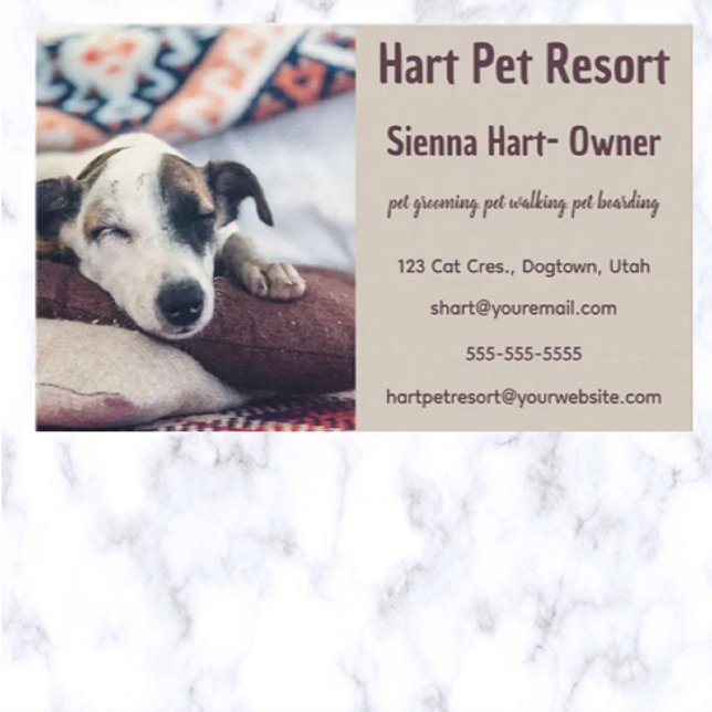 Editable Pet Resort Business Card (Creator Uploaded)