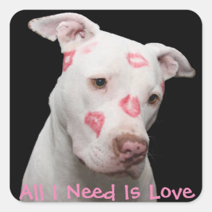 Editable Pitbull Lover Square Sticker