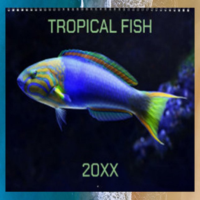 Editable Tropical Fish  Calendar (Creator Uploaded)