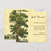 Editable Vintage Oak Tree Just Moved 5.25" Square