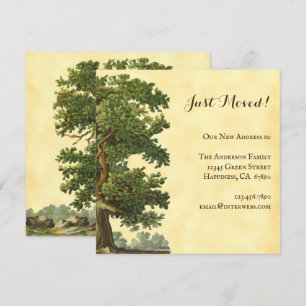 Editable Vintage Oak Tree Just Moved 5.25" Square Card