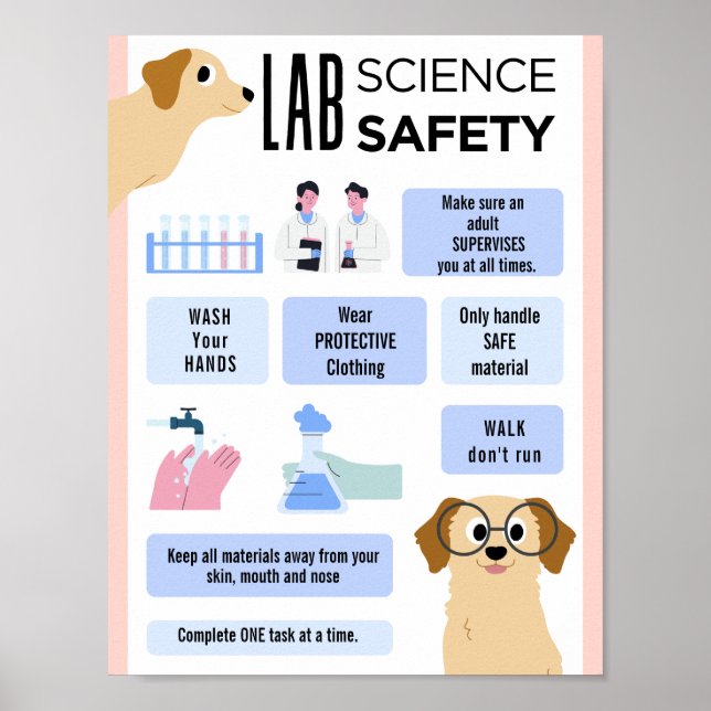 EditableScience LAB Safety school classroom poster (Front)