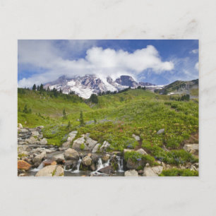 Edith Creek and wildflower meadows at Paradise Postcard