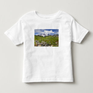 Edith Creek and wildflower meadows at Paradise Toddler T-Shirt