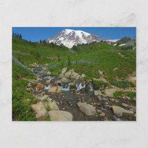 Edith Creek at Mount Rainier National Park Postcard