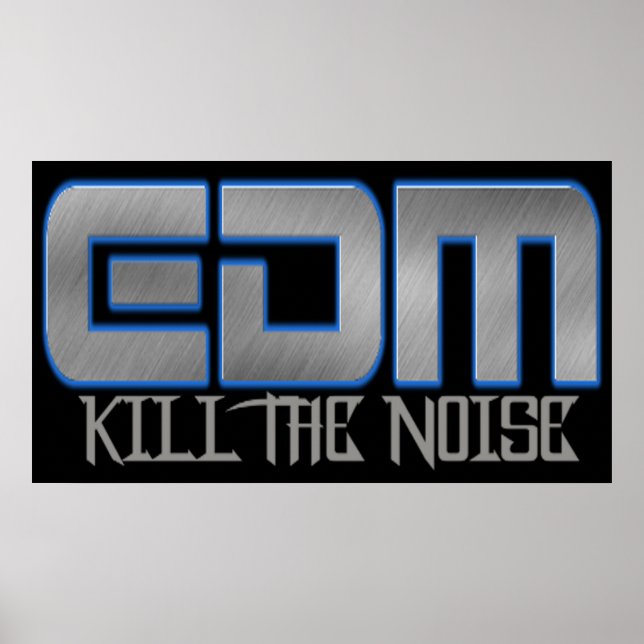 EDM KILL THE NOISE POSTER (Front)