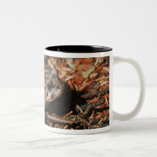 edmonton, alberta, canada 3 Two-Tone coffee mug