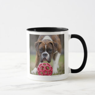 edmonton alberta canada mug