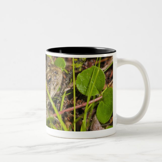 edmonton, alberta, canada Two-Tone coffee mug (Right)