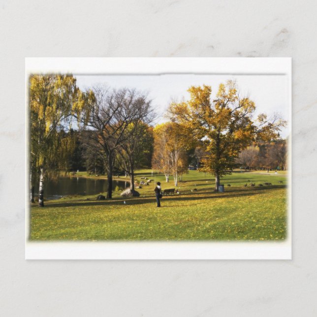 Edmonton alberta postcard (Front)