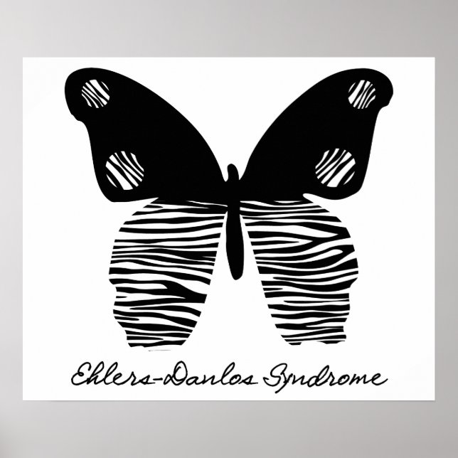EDS Zebra Stripe Butterfly 24X20 Poster (Front)