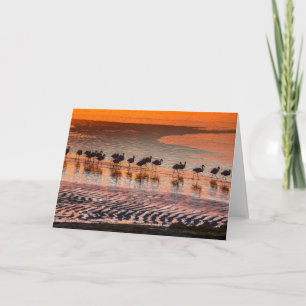 Eduardo Abaroa Andean Fauna National Reserve Card