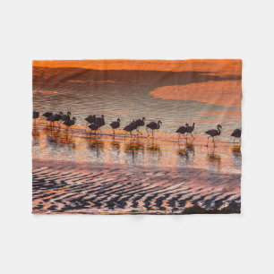 Eduardo Abaroa Andean Fauna National Reserve Fleece Blanket