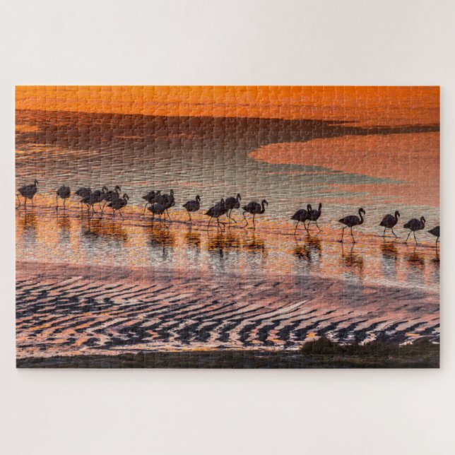 Eduardo Abaroa Andean Fauna National Reserve Jigsaw Puzzle (Horizontal)
