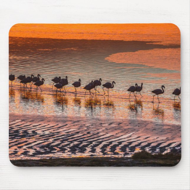 Eduardo Abaroa Andean Fauna National Reserve Mouse Pad (Front)