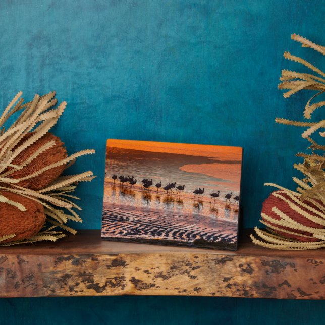 Eduardo Abaroa Andean Fauna National Reserve Plaque (Side)