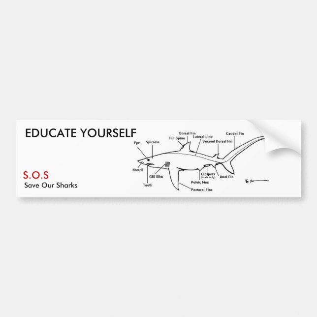 EDUCATE YOURSELF BUMPER STICKER (Front)