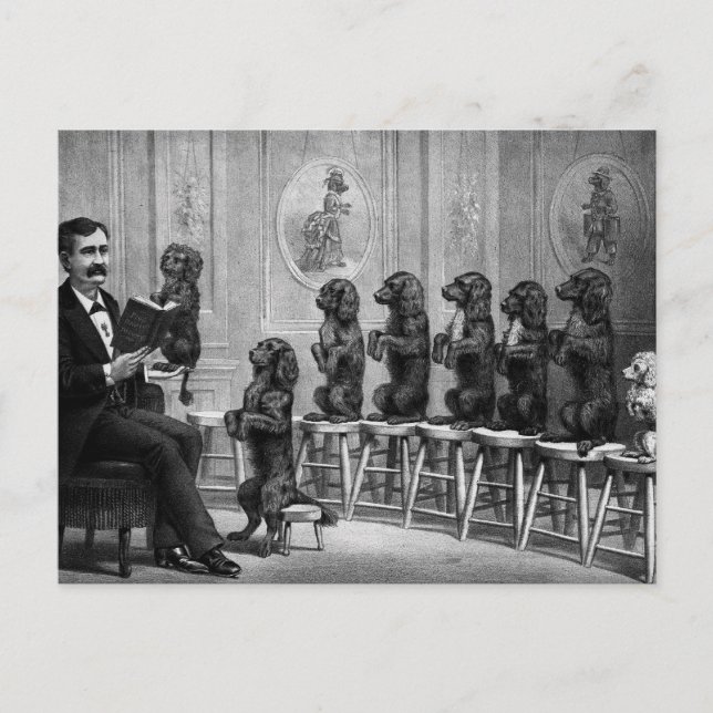 Educated Dogs Postcard (Front)