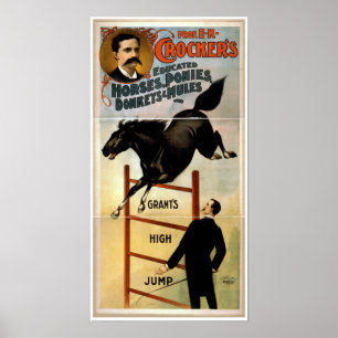 Educated horses, ponies, donkeys, and Mules Poster