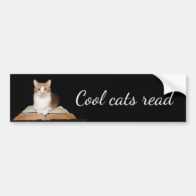 Educated literary kitty cat bumper sticker (Front)