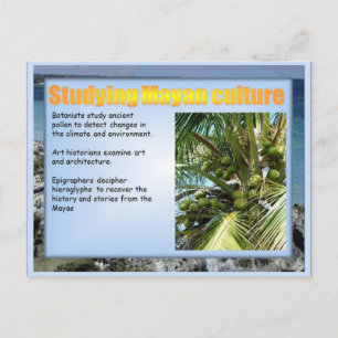 Education, History, Mayan culture Postcard