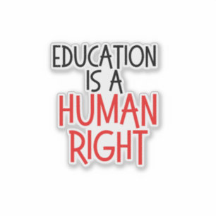 Education is a Human Right - funny teachers gift
