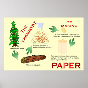 Education, Science, Chemistry of making paper Poster