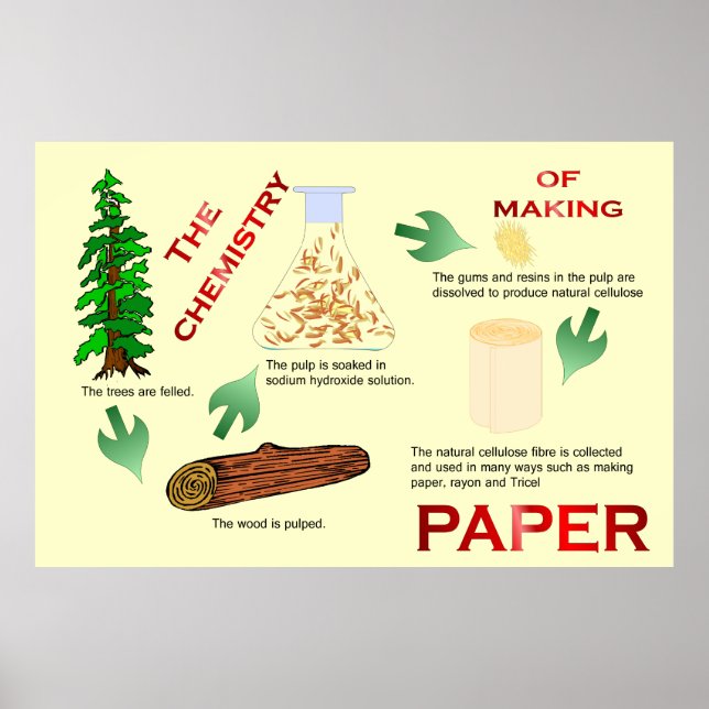 Education, Science, Chemistry of making paper Poster (Front)