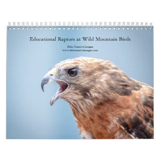 Educational Birds at Wild Mountain Birds 2026 Calendar