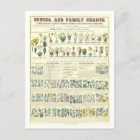 Educational Chart for Plant Classification