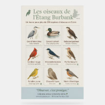 Educational Poster – Birds of Étang Burbank (
