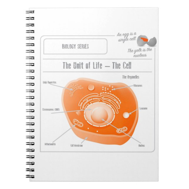EduPaper Products Cell Spiral Bound Notebook (Front)