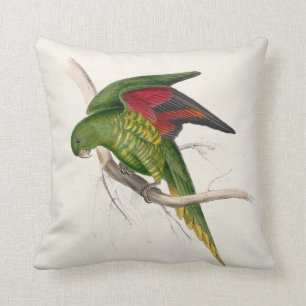 Edward Lear #9-Maton's parrakeet Cushion