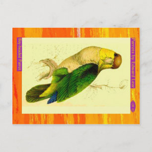 Edward Lear. Bay-headed Parrot. Postcard