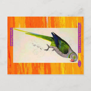 Edward Lear. Pigeon Parakeet. Postcard