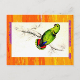 Edward Lear. Swindern's Parakeet. Postcard