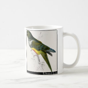Edward Lear's Patagonian Parakeet-Macaw Coffee Mug