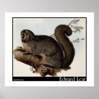 Edward Lear's Whiskered Yarke Poster