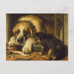Edwin Henry Landseer Doubtful Crumbs Postcard