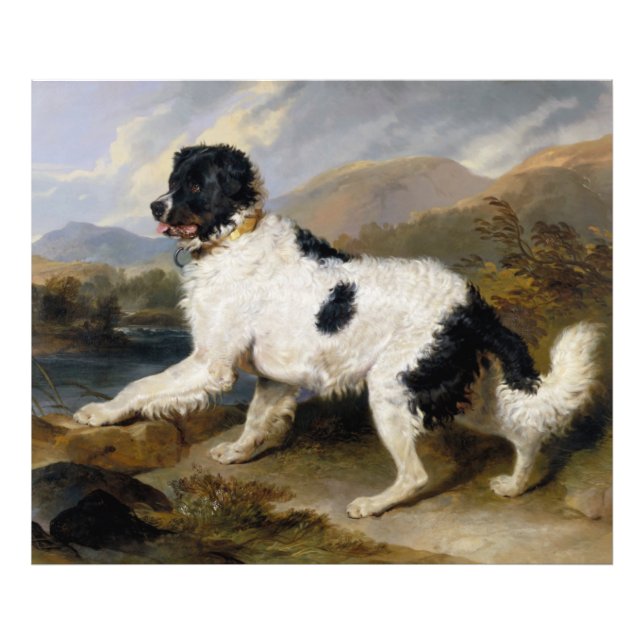 Edwin Henry Landseer | Lion- A Newfoundland Dog Photo Print (Front)