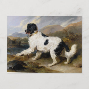 Edwin Henry Landseer Lion A Newfoundland Dog Postcard