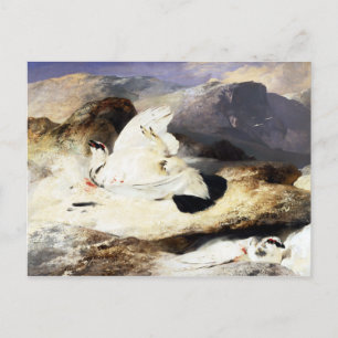 Edwin Landseer Ptarmigan in a Landscape Postcard