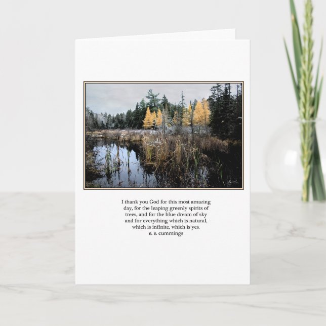 ee Cummings quote Cattails and Larches Card (Front)