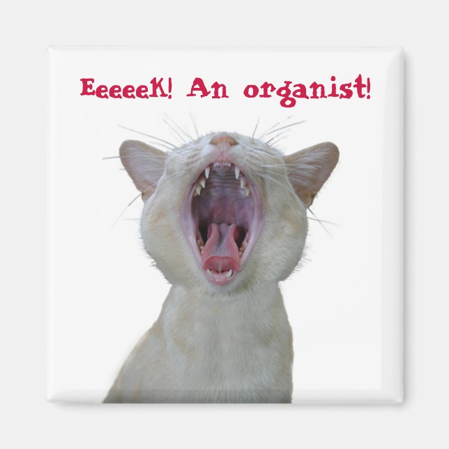 Eeek! An organist! Magnet (Front)