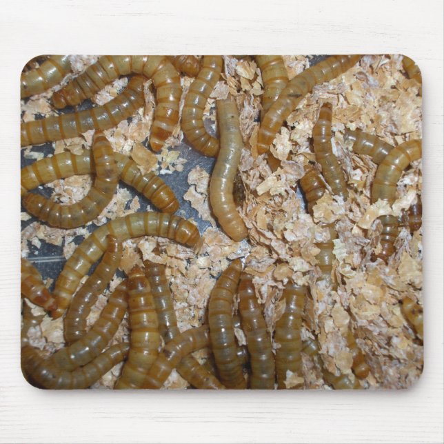 Eeewww... - Mousepad (Front)