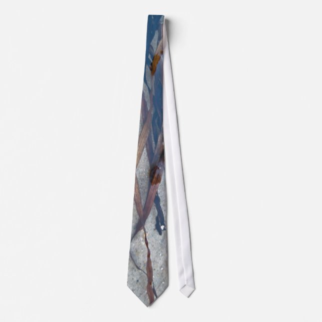 Eelgrass in Tidal Pool Tie (Front)