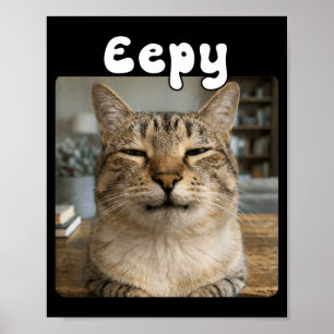 Eepy Cat Silly Sleepy Funny Cat Meme Poster