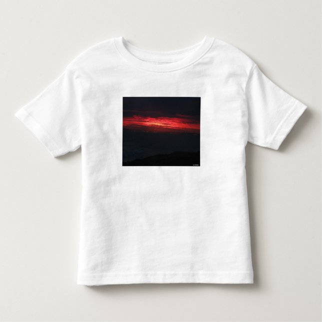 Eerie But Beautiful Sunset Toddler T-Shirt (Front)